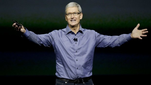 A rare, but self-interested, warrior: Apple CEO Tim Cook.