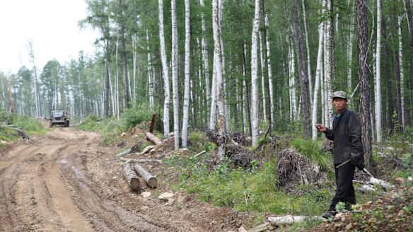 A North Korean labourer in Siberia.