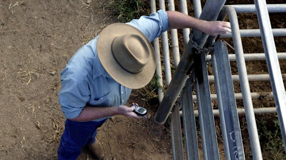 Backpackers worked almost three months without a day off on a farm west of Gympie.