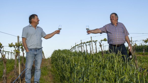 Barossa-based Michael and Graeme Fechner have the only kerner vineyard in Australia.