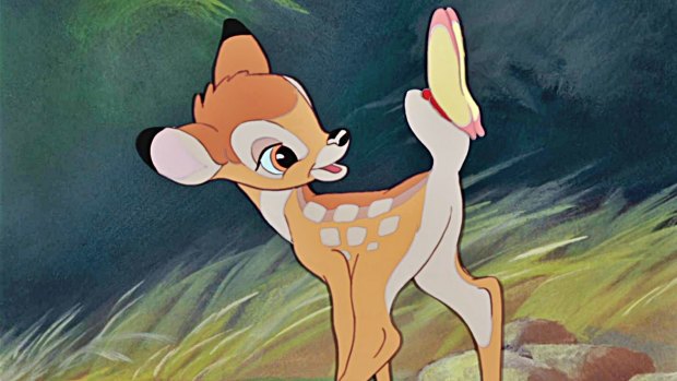 NSW Premier Mike Baird is so wholesome and personable he's been dubbed "Bambi Baird." But will he turn off voters by opting for more privatisation?