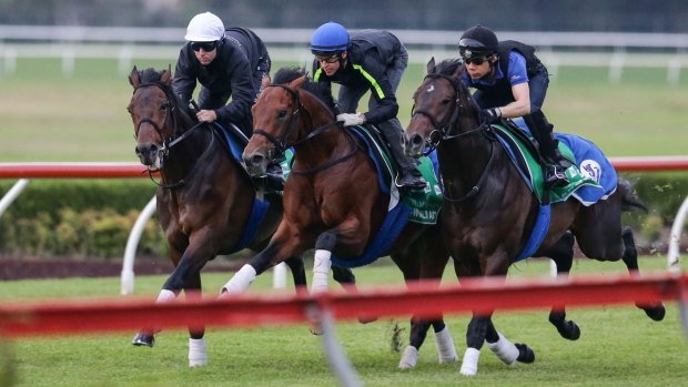 Visitor: Tosen Stardom (left) will be the only Japanese galloper to contest The Championships this year.