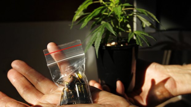 Medicinal marijuana will be grown on Christmas Island.