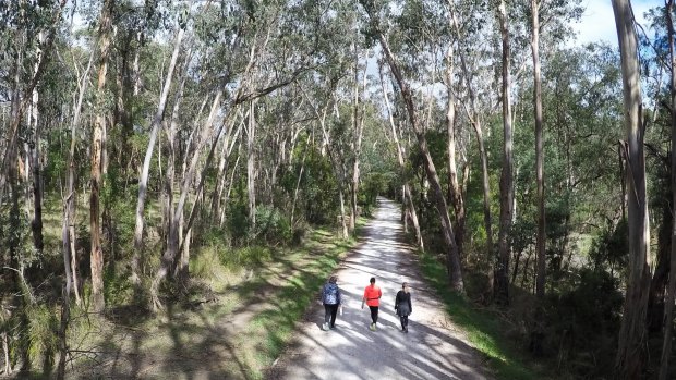 The Lilydale to Warburton Rail Trail at Seville.