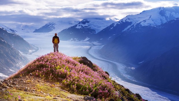 Alaska is one of the world's great wildernesses.