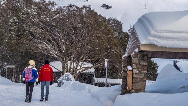 Strong snow falls hit at Falls Creek as lockdown came to an end.