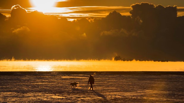 Scientists calculate that 2017 was close to the hottest year on record.