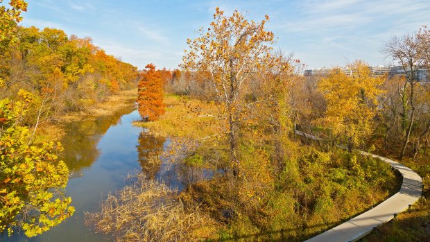 The Potomac River.