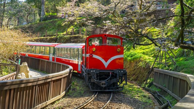 Alishan National Scenic Area.