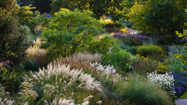 Meadow-like mixed plantings and steppe-style plantings require very little maintenance.