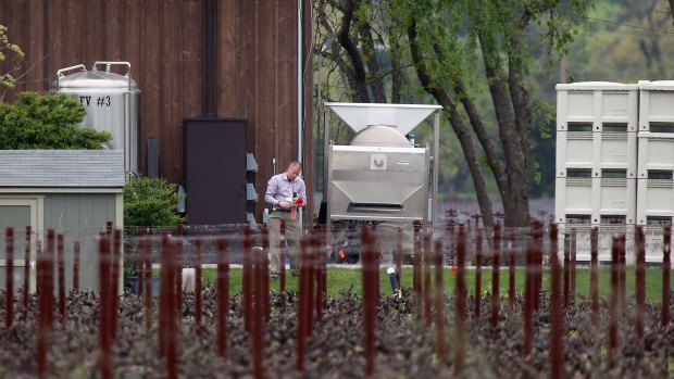 A member of Napa law enforcement places markers at a winery while investigating the crime scene.