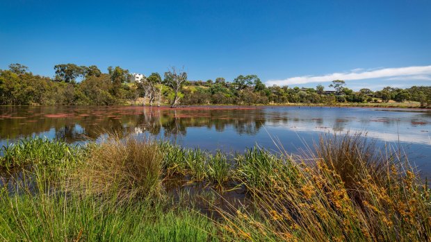 The North East Link, if it chose the route through Heidelberg, would pass through or under the Banyule Flats Reserve. 