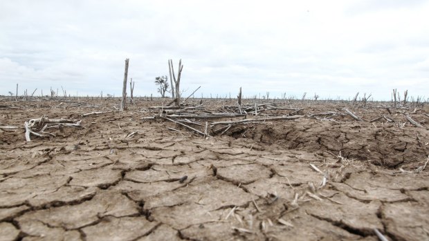Drought conditions are spreading into the lower Murray-Darling Basin.