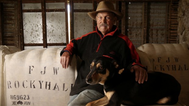 Fred Whitby, 94,and his working dog, Snap, have never seen anything like this boom before.