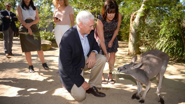 US Vice President Mike Pence and his wife Karen, right, offer leaves to a kangaroo during a visit to Taronga Zoo in Sydney.