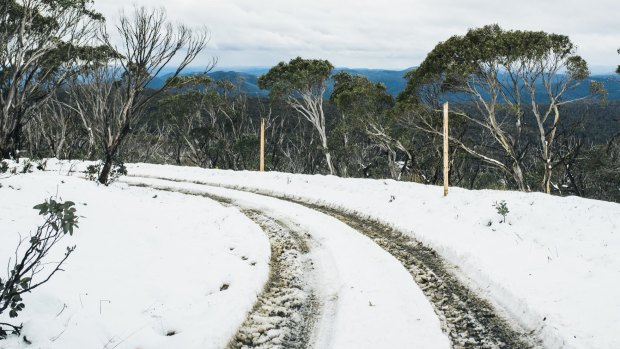 Snow on Mt Franklin in the Brindabellas on Wednesday April 8. 