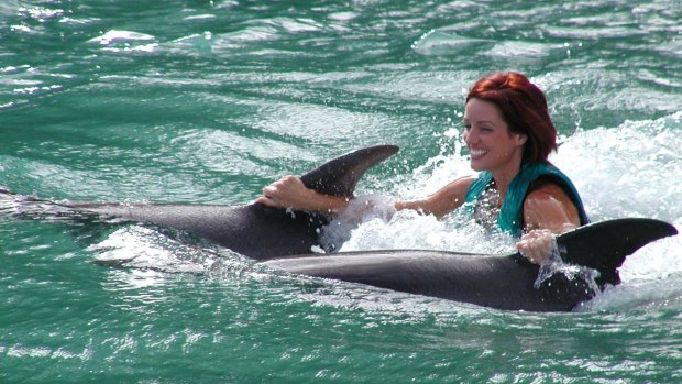 At Dolphin Cove you can swim with dolphins.