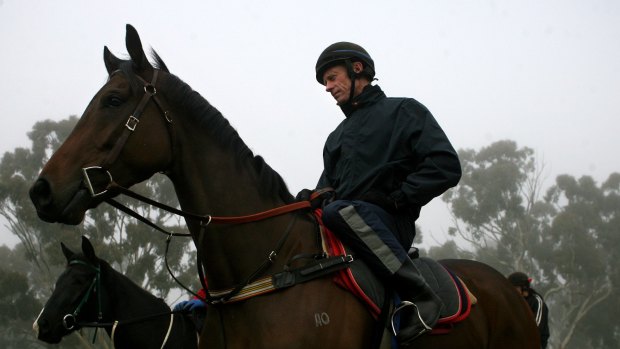 Back to Goulburn: Trainer Danny Williams is back in action is his home town.