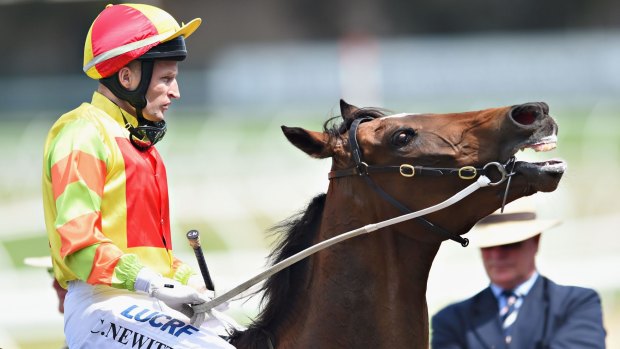 Craig Newitt aboard Lankan Rupee in the 2015 Schillaci Stakes, a race that could be impacted by a new Sydney sprint.