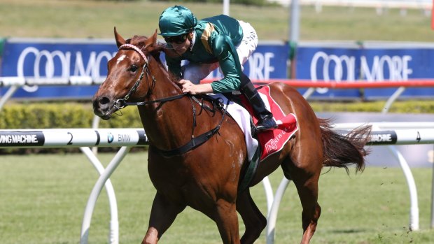 Capitalist is an odds-on Magic Millions Classic favourite.