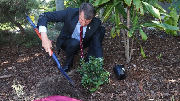 Lord Mayor Graham Quirk planted the tree as part of the first memorial to those who have died from domestic violence attacks.