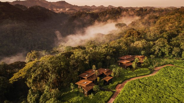 Luxury One & only Nyungwe House Rwanda — Rwanda Chimpanzee tour