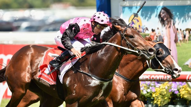 Impressive display: Damien Oliver gets the best out of Flying Artie in the Blue Diamond Prelude at Caulfield. 