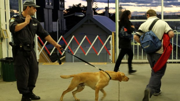Police sniffer dogs at work at St Peters train station in Sydney ... more than two-thirds of searches do not find drugs