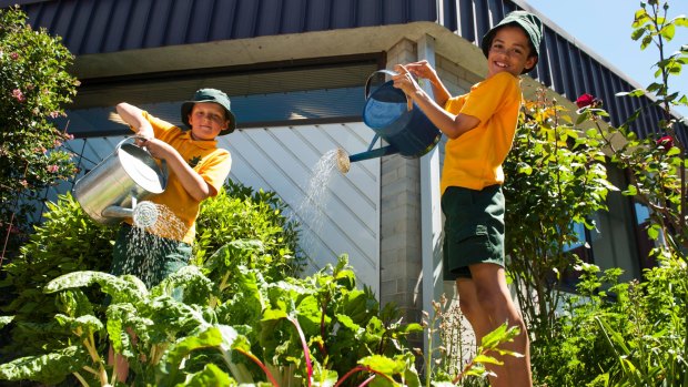 Hawker Primary School kitchen garden students Joel Selmes and Nathan Brown.  