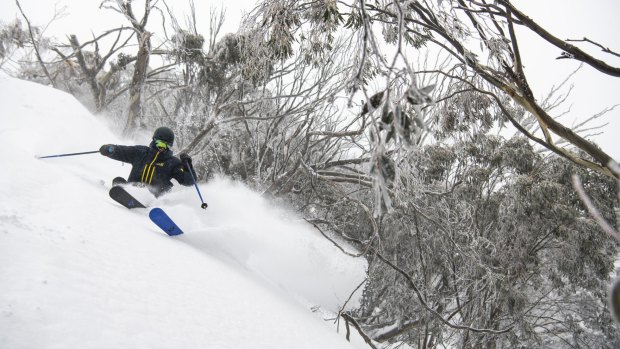 Mt Buller, Victoria. 