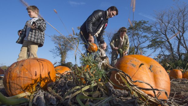 Liberal leader Justin Trudeau picks pumpkins with his wife Sophie and son Xavier, last week in Gatineau, Quebec. 