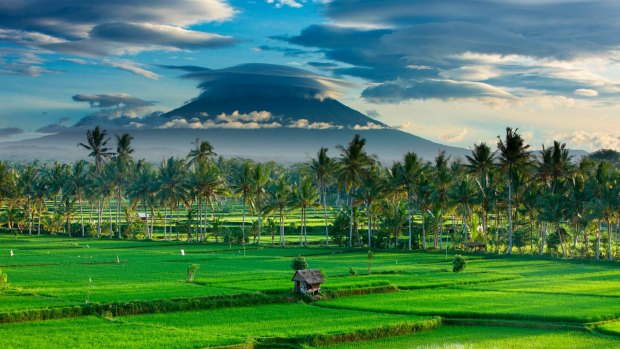 Rice fields near Ubud, Bali, with the volcanic peak of Gunung Agung in the background.