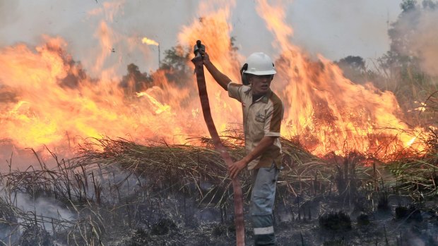 A fireman works to contain a blaze in Ogan Ilir, South Sumatra, Indonesia, at the weekend.