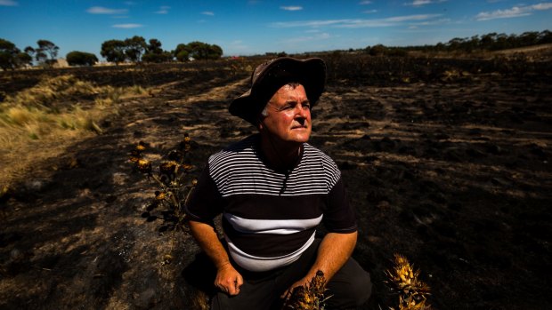 Dragi Blazevski at his back paddock after an out of control grassfire nearly burnt through his property near Diggers Rest
