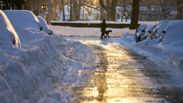 A person walks a dog as the rising sun reflects off an Upper West Side street in New York, in the wake of a storm that dumped heavy snow along the East Coast in 2016. 