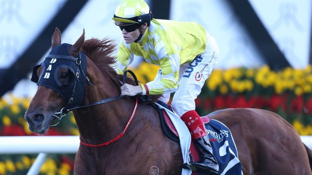 Craig Williams rides Criterion to victory in The Queen Elizabeth Stakes.