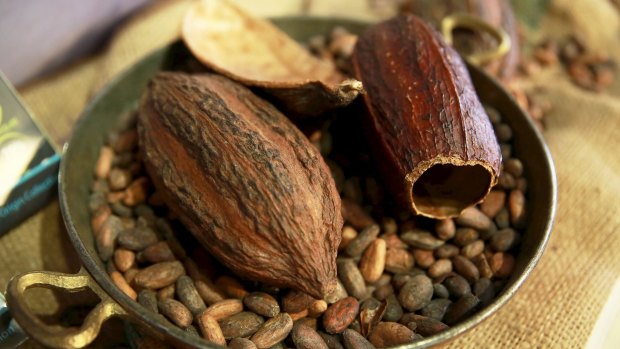 Cacao pods and beans.