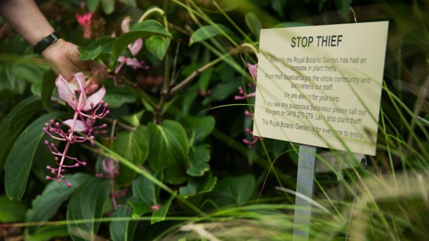 A sign warns plant thieves at the Botanic Gardens. Theft of plants isn't an everyday occurrence at the gardens but it happens often enough.