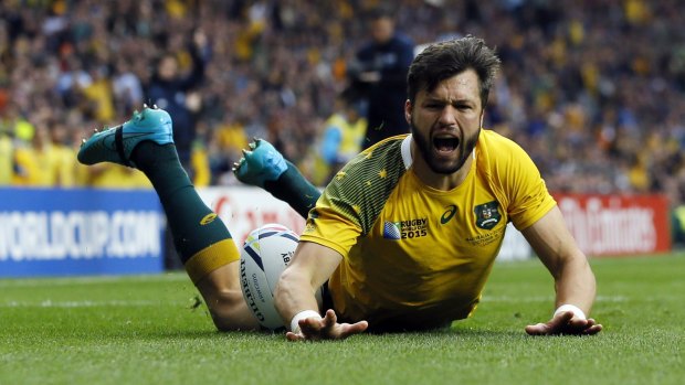 Veteran: Adam Ashley-Cooper's experience will be important for the Wallabies in the Bledisloe Cup series.