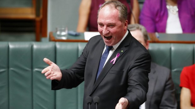 "Crazy as bat-poo: Deputy Prime Minister Barnaby Joyce. 