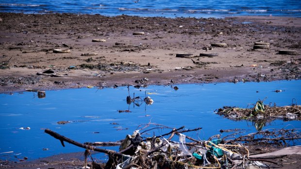 Fundamental problem: Debris sits near the shoreline of the polluted waters of Guanabara Bay back in 2014. The issue has still not been properly addressed. 