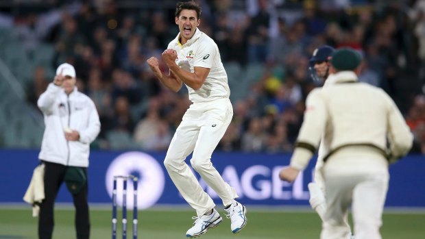 Australia's Mitchell Starc celebrates taking the wicket of England's Mark Stoneman for 18.