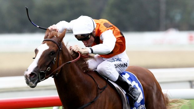 Emotional day: Peter Snowden would like nothing more than to win the Guy Walter Stakes with Mahara.
