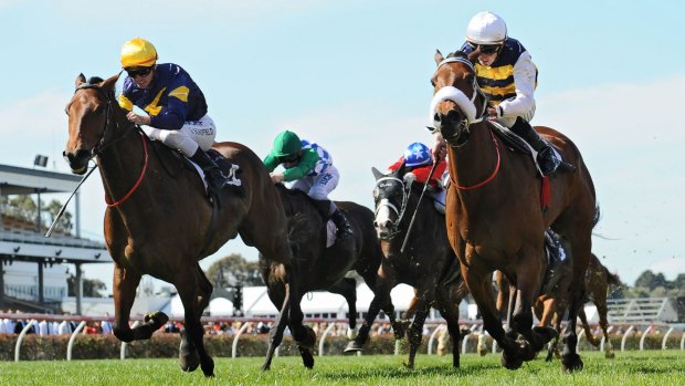 Chad Schofield rides Brambles (right) to victory at Flemington in September.