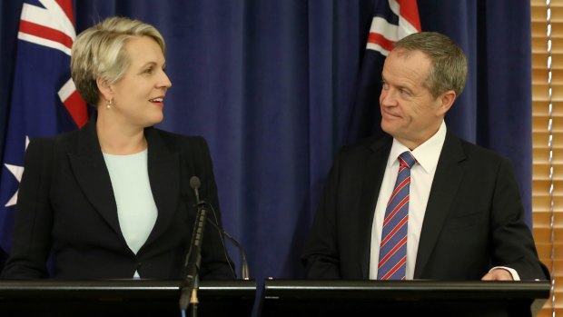 Bill Shorten has given his deputy, Tanyya Plibersek, an expanded education portfolio to capitalise on the party's strengths. 