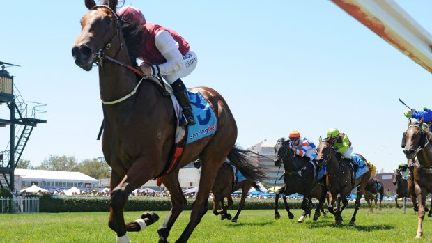 Resuming: Blue Diamond winner Earthquake will be back in action on Saturday.