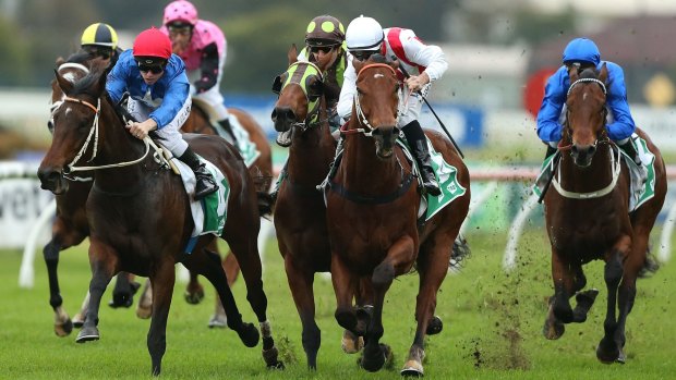 Lucky recipient: Savoureux (front left) made the most of Kaepernick's troubles to win at Rosehill on Saturday.