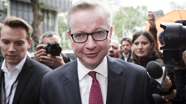 'Wild': Michael Gove, UK justice secretary and leadership contender.