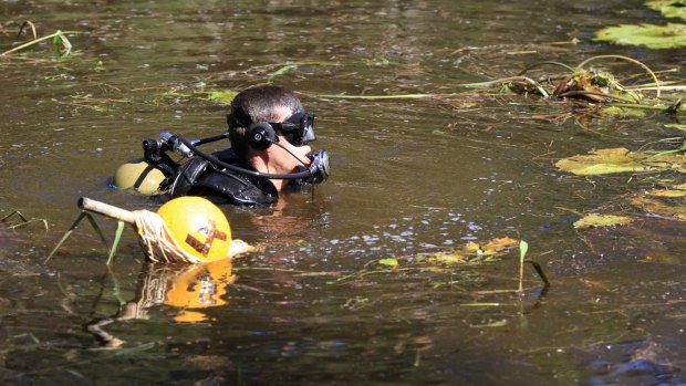 Divers from Queensland Police and the Australian Defence Force search Deagon Wetlands.