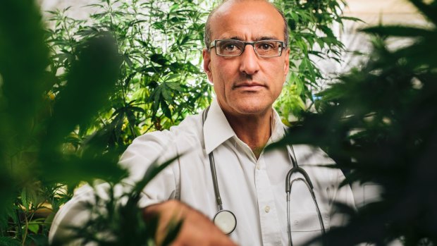 Dr Andrew Katelaris is one of Australia's biggest medicinal cannabis suppliers. 